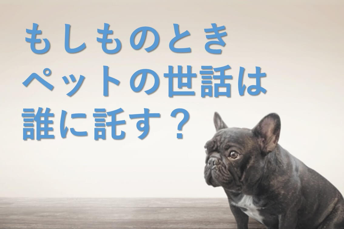 自分にもしものとき、ペットを託す準備できていますか？